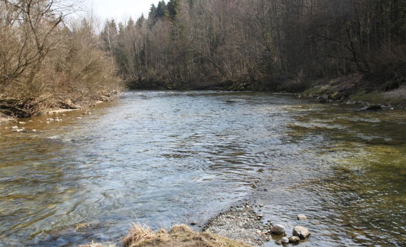 Leitzach Mündung